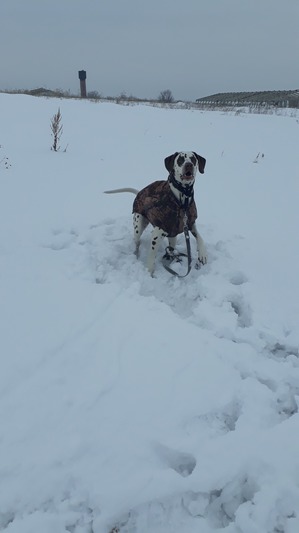 ����: �����, ����� �� �����, ������� ������)))