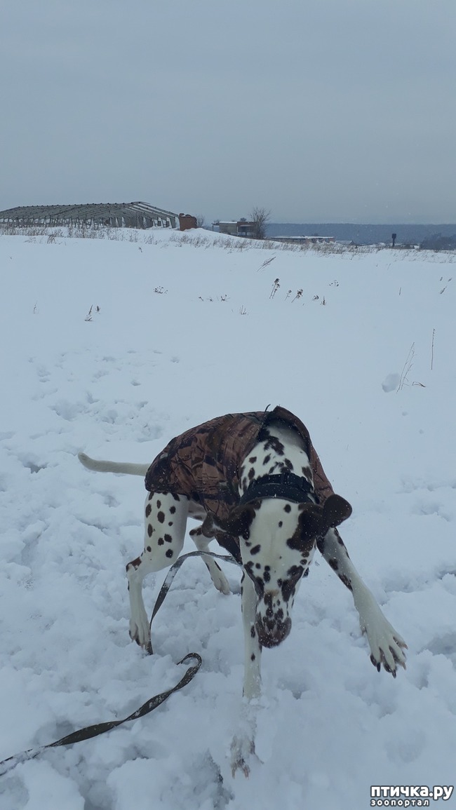 ���� 3: �����, ����� �� �����, ������� ������)))