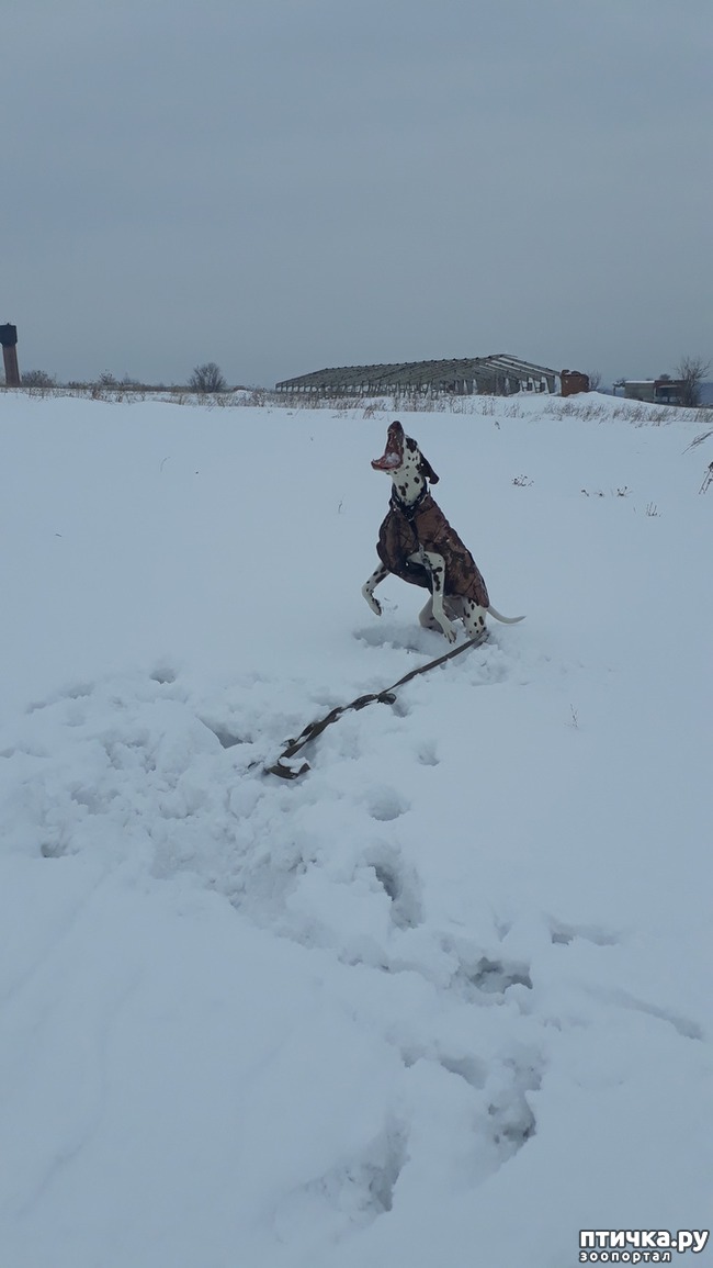 ���� 4: �����, ����� �� �����, ������� ������)))