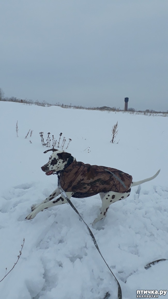 ���� 5: �����, ����� �� �����, ������� ������)))