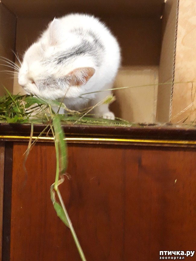 ���� 7: ������������ � ��������� ���������. ������� ������