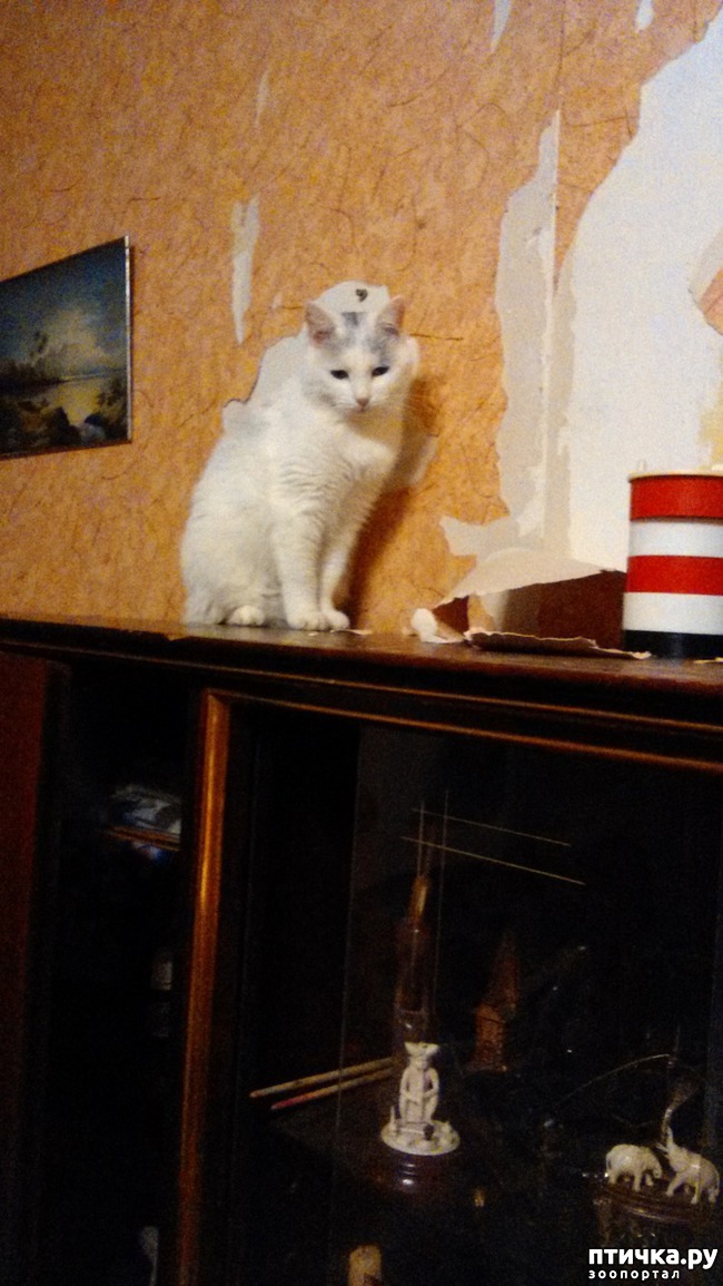 ���� 11: ������������ � ��������� ���������. ������� ������