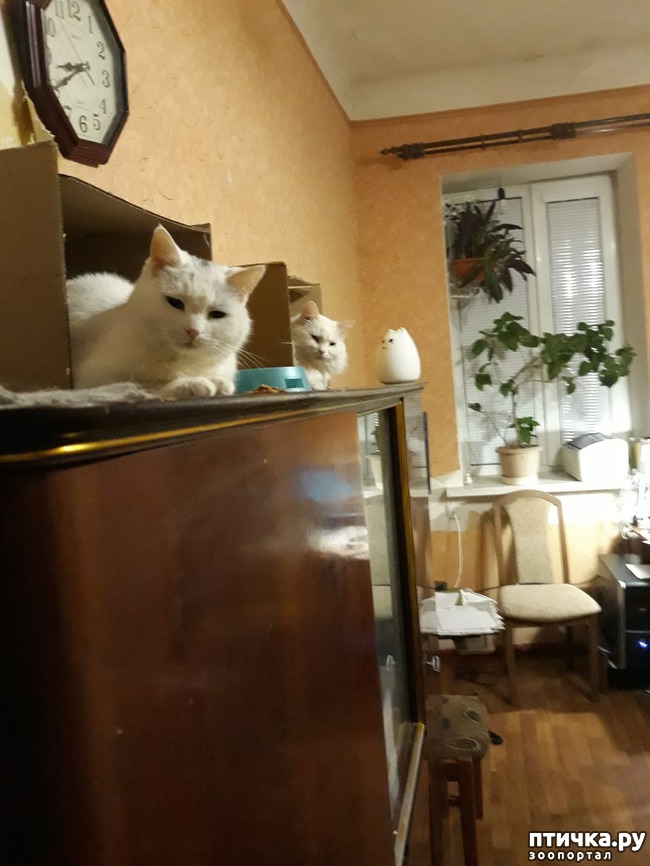 ���� 13: ������������ � ��������� ���������. ������� ������