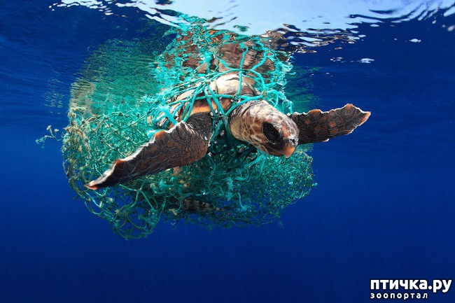 ���� 1: ������������ ������ ������� ����������