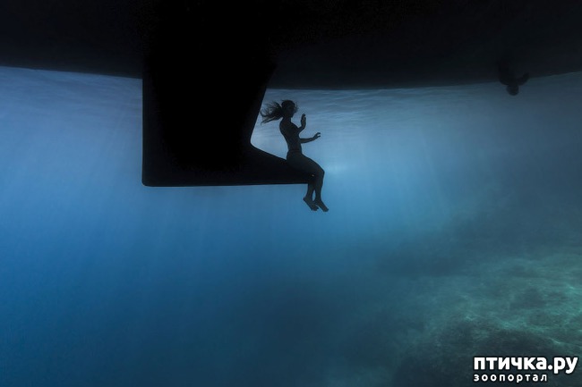 ���� 2: ������������ ������ ������� ����������