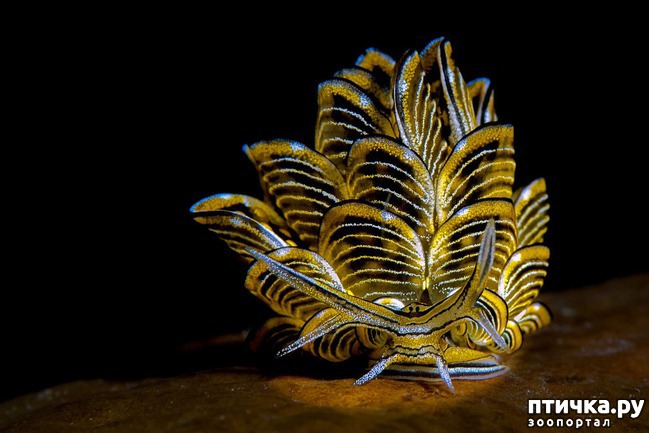 ���� 3: ������������ ������ ������� ����������