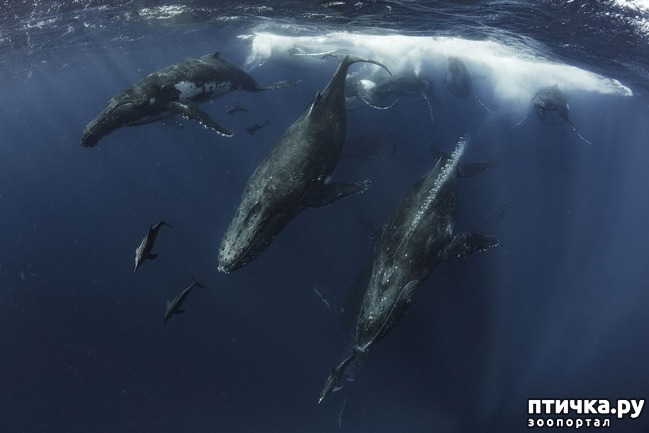 ���� 7: ������������ ������ ������� ����������