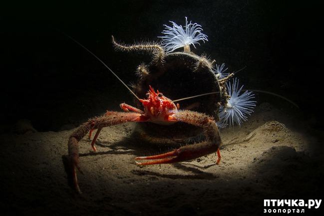 ���� 8: ������������ ������ ������� ����������