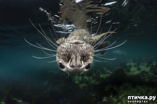 ���� 9: ������������ ������ ������� ����������