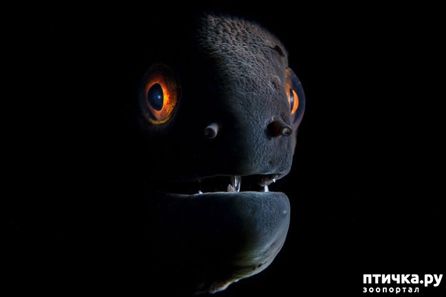 ���� 10: ������������ ������ ������� ����������