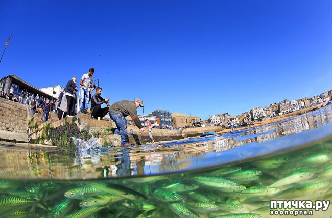 ���� 12: ������������ ������ ������� ����������