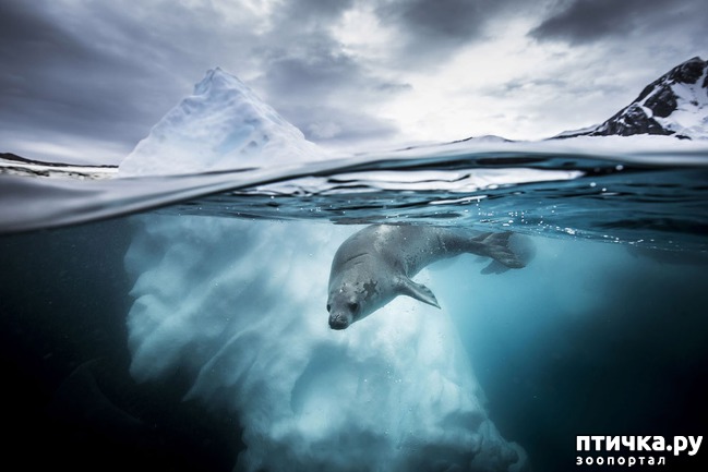 ���� 14: ������������ ������ ������� ����������