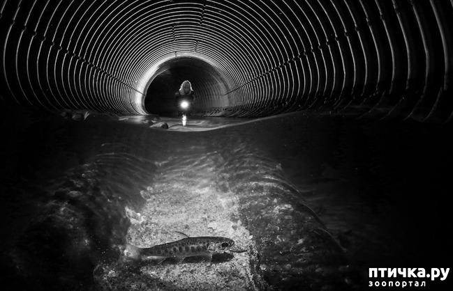 ���� 15: ������������ ������ ������� ����������