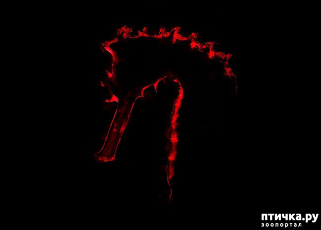 ���� 16: ������������ ������ ������� ����������