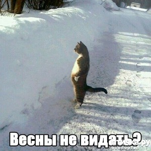 ����: �����������: ����� � �����!!!