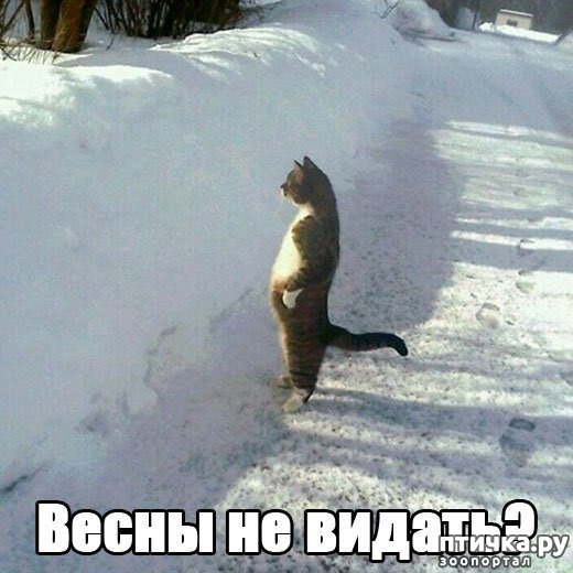 ���� 1: �����������: ����� � �����!!!