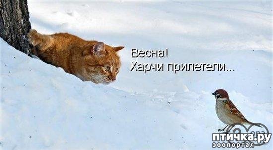 ���� 2: �����������: ����� � �����!!!