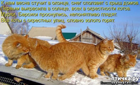 ���� 3: �����������: ����� � �����!!!