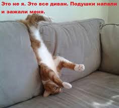 ���� 4: �����������: ����� � �����!!!