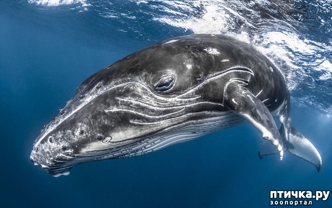 ���� 17: ������������ ������ ������� ����������