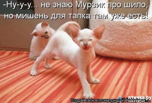 ���� 5: �����������: ����� � �����!!!