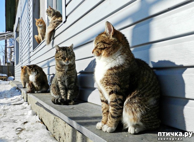 ���� 6: �����������: ����� � �����!!!