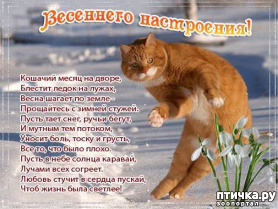 ���� 7: �����������: ����� � �����!!!