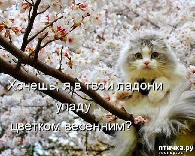 ���� 9: �����������: ����� � �����!!!