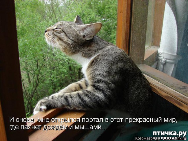 ���� 10: �����������: ����� � �����!!!