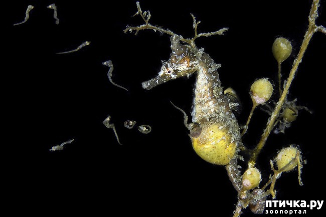 ���� 18: ������������ ������ ������� ����������