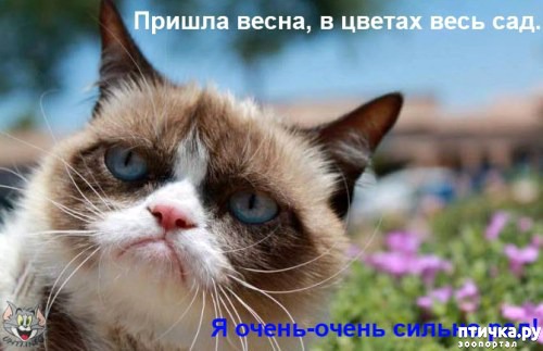 ���� 11: �����������: ����� � �����!!!