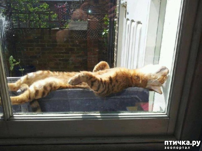 ���� 13: �����������: ����� � �����!!!