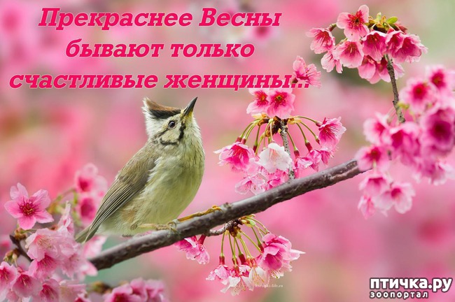 ���� 14: �����������: ����� � �����!!!