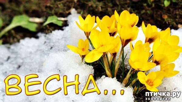 ���� 15: �����������: ����� � �����!!!