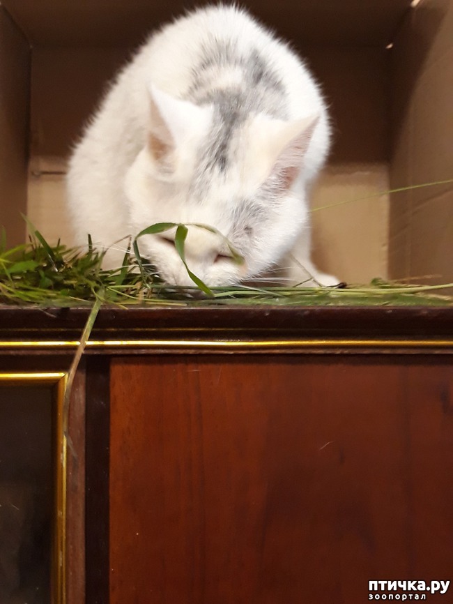 ���� 8: ������������ � ��������� ���������. ������� ������