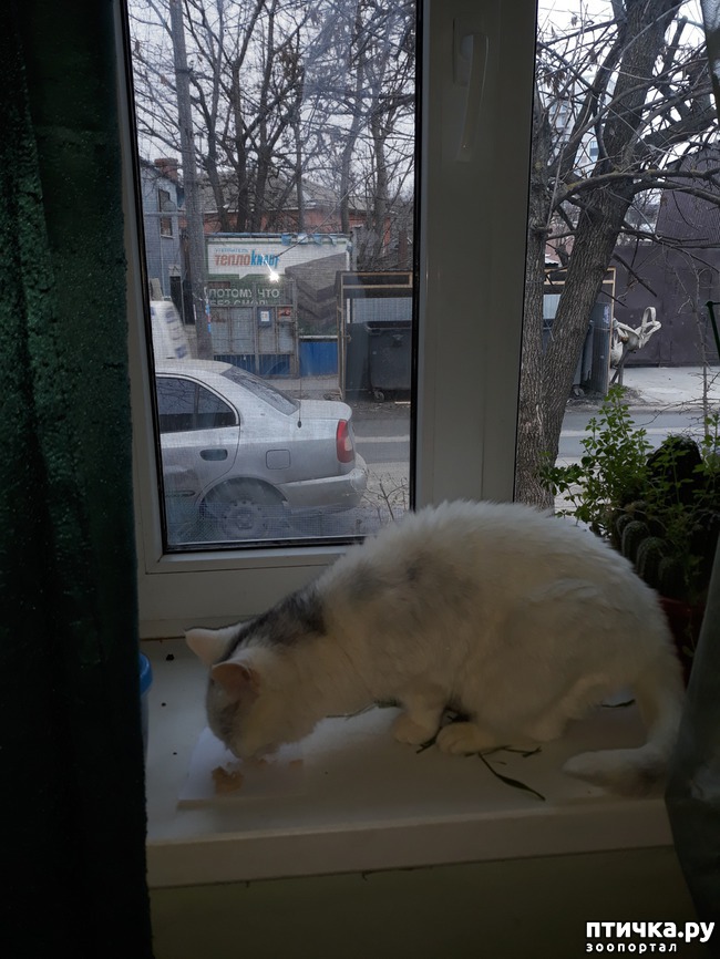 ���� 9: ������������ � ��������� ���������. ������� ������