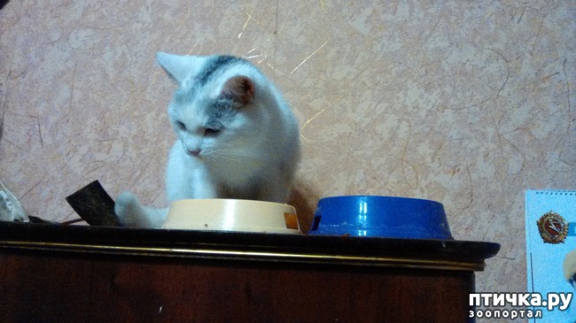 ���� 10: ������������ � ��������� ���������. ������� ������