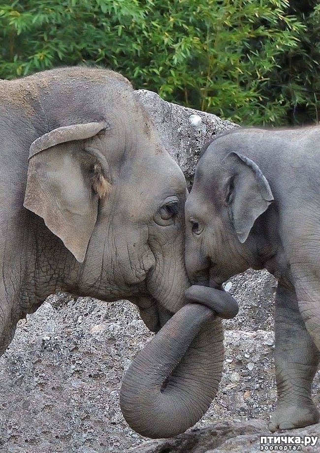 ���� 1: ����������