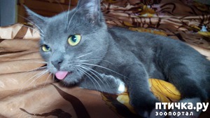 ����: ������� ��� ������ ������ ������