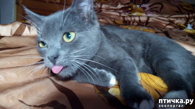 ���� 1: ������� ��� ������ ������ ������