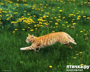 ����: #����� ����������� <��������>