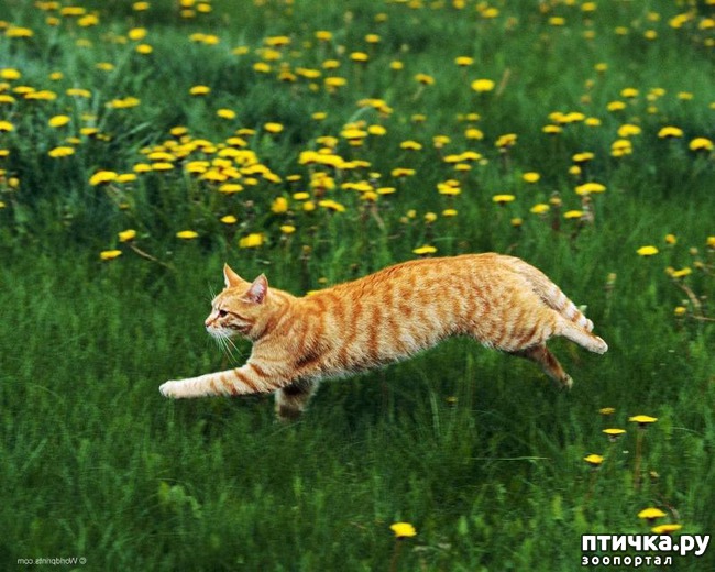 ���� 1: #����� ����������� <��������></a>