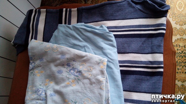 ���� 2: ������� ��� ������ ������ ������