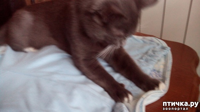 ���� 3: ������� ��� ������ ������ ������