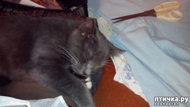 ���� 4: ������� ��� ������ ������ ������