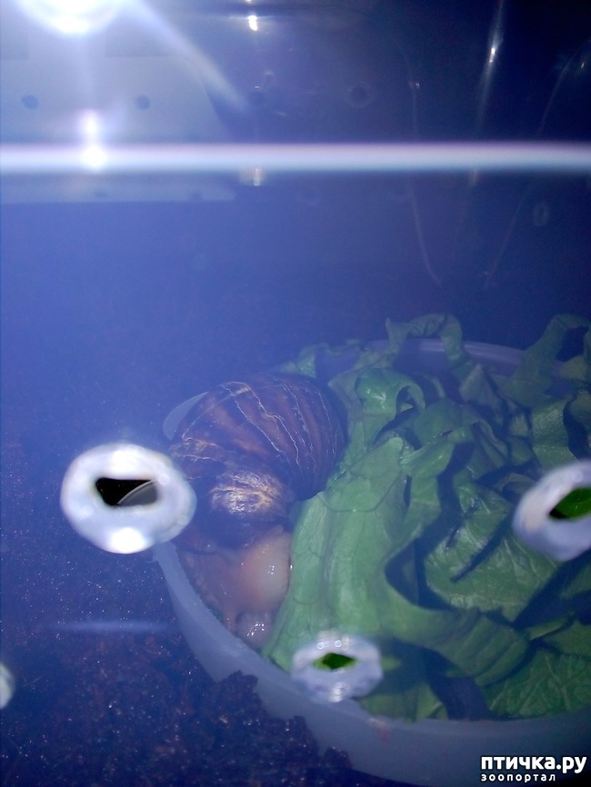 ���� 1: ����� ���� ����)))