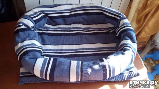 ���� 5: ������� ��� ������ ������ ������