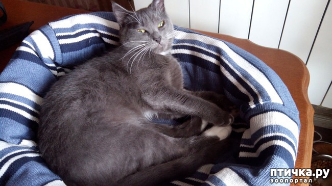 ���� 6: ������� ��� ������ ������ ������