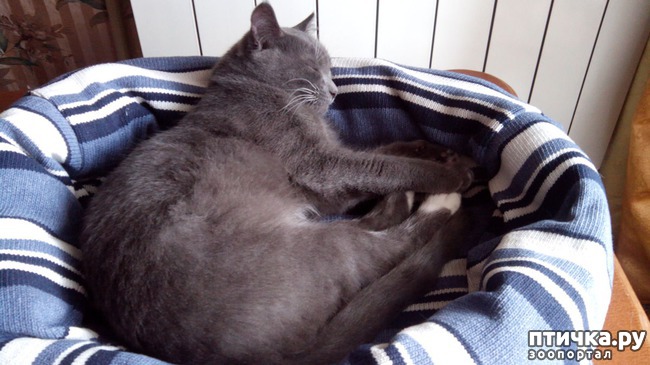 ���� 7: ������� ��� ������ ������ ������