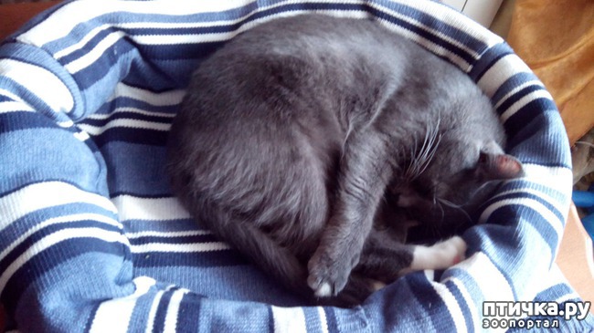 ���� 8: ������� ��� ������ ������ ������